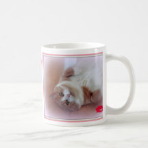 taza del gato