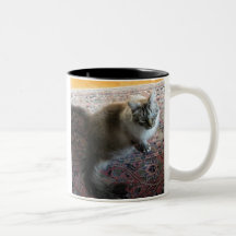 Taza del gato con verso… en el ojo cariñoso de un 