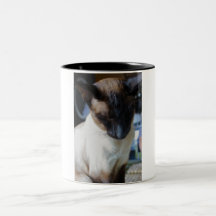 Taza del gato siamés
