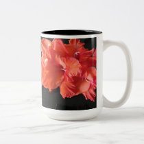 ¡Taza del iris del ámbar! tazas