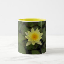 Taza del lirio de charca amarilla