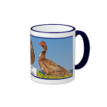 Taza del pato de Muscovy