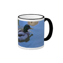 Taza del pato del pato silvestre