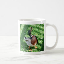 Taza del pato silvestre