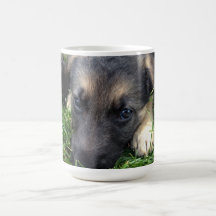 Taza del perrito del pastor alemán