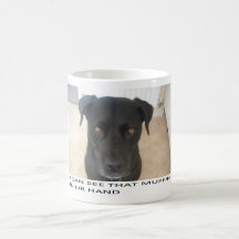 taza del perro