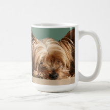 Taza del perro el dormir Yorkie
