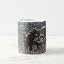 Taza del potro de Chincoteague