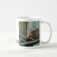 Taza del puerco espín 2