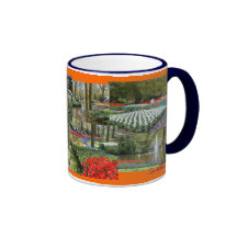 Taza del recuerdo de Holanda (Keukenhof Gardens/15