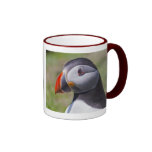 Taza del retrato del frailecillo