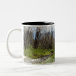 Taza del río Santa Ana