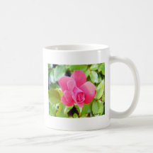 Taza del rosa rojo