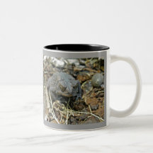 Taza del sapo del abuelo