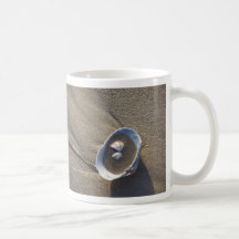 Taza del Seashell de la playa del océano