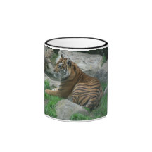 taza del tigre 001