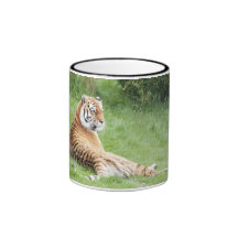 Taza del tigre de Amur