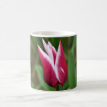 Taza del tulipán