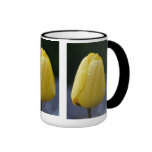 Taza del tulipán