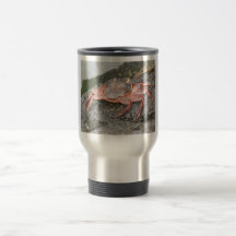 Taza del viaje de la TAZA. Cangrejos de las islas 
