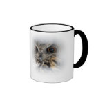 Taza eurasiática del Eagle-búho