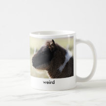 Taza extraña