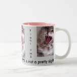 Taza fea de PMS