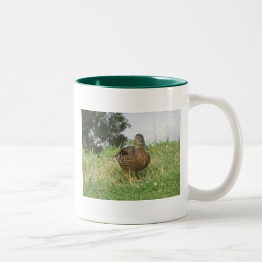 Taza femenina del pato del pato silvestre