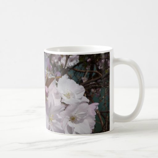 TAZA - flores Tournus Francia del bonito