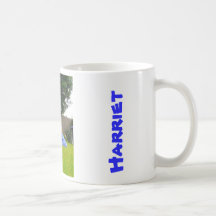 Taza fresca 1
