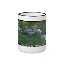 taza ganso a cabeza barrido