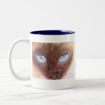 Taza, gato siamés