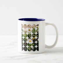 Taza grande de la foto del punto