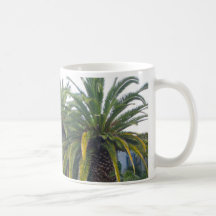 Taza hermosa de la palmera