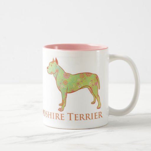 Taza hermosa de Pitbull/Staffy Terrier
