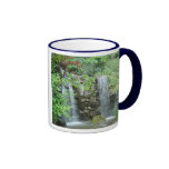 Taza japonesa de la cascada del jardín