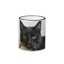 Taza:  Lilly el gato