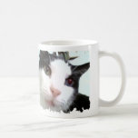 Taza linda del gato