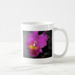 Taza magenta de la orquídea