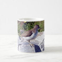 Taza manchada de la lavandera 1