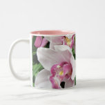 TAZA - orquídeas rosadas del Cymbidium tazas