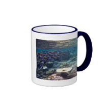 Taza - pescado del cirujano de los azules claros