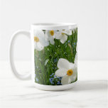 TAZA - primavera Jonquils en Francia