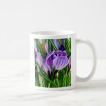 Taza púrpura de la flor del azafrán de los pétalos