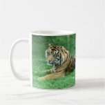 Taza que se sienta del tigre de las rayas negras d