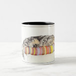 Taza relajada del gato