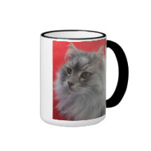 Taza siberiana del gato