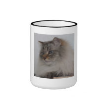 Taza siberiana del gato