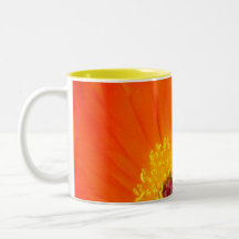 taza soleada