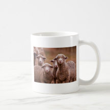Taza/taza de la oveja del heno